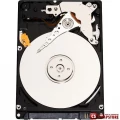 Western Digital Scorpio Blue 320 GB 2.5-inch (WD3200BPVT)