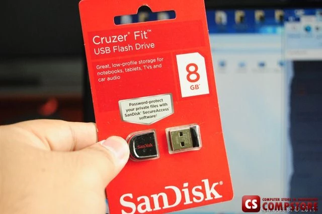 Sandisk Cruzer Fit 8 GB (USB Flash Drive)