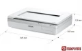 Epson WorkForce DS-50000 (B11B204131) Sürətli Professional skaner