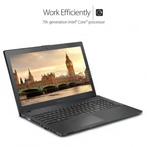 ASUS Pro Series P2540UA-AB51