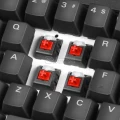 ASUS Cerberus MECH RGB Mechanical Gaming Keyboard (90YH0193-B2RA00)