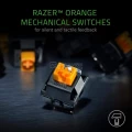Razer Blackwidow Lite Mechanical Tenkeyless Mechanical Keyboard (RZ03-02640100-R3M1)
