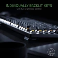 Razer Blackwidow Lite Mechanical Tenkeyless Mechanical Keyboard (RZ03-02640100-R3M1)