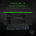 Razer Blackwidow Lite Mechanical Tenkeyless Mechanical Keyboard (RZ03-02640100-R3M1)