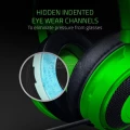 Razer Kraken Green Competitive Gaming Headset (RZ04-02830200-R3M1)
