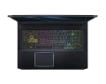 Acer Predator Helios 300 PH317-53-77HB (NH.Q5PAA.003)