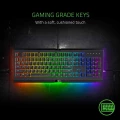 Razer Cynosa Chroma Pro Gaming Keyboard (RZ03-01470200-R3R1)