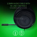 Razer Kraken Black Competitive Gaming Headset (RZ04-02830100-R3M1)