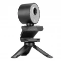 Everest SC-HD09 1080p Webcam