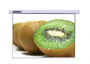 Everest PSEB240 Motorized Projection Screen (240x240)