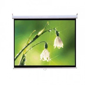 Everest PSEB90 Reverse Projection Screen (180x180)