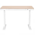 2E CE218D-MOTORIZED Gaming Desk