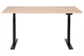 2E CE150WYLOW-MOTORIZED Gaming Desk