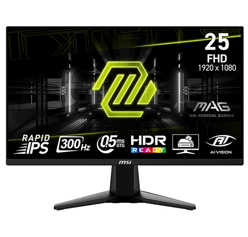 MSI MAG 255XF 25-inch FHD 300 Hz Gaming Monitor