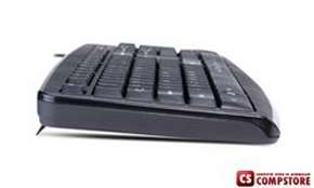 Клавиатура Genius KB-110X (PS2)