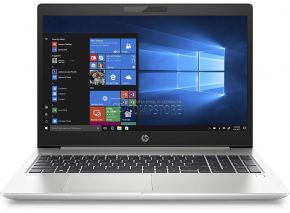 HP ProBook 450 G6 (6FE35UT)