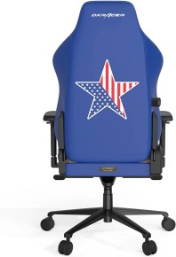 DXRacer Craft Pro Dream Team (CRA/D5000/BW) Gaming Chair