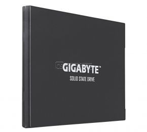 SSD Gigabyte UD Pro 256 GB (GP-GSTFS30256GTTD)