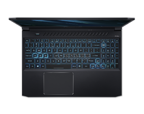 Acer Predator Helios 300 PH315-53-72XD (NH.Q7YAA.004) Gaming Laptop