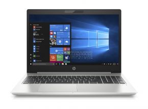HP ProBook 450 G6 (6QJ33UT)