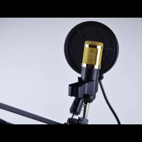 ZINGYOU M-800 Condenser Microphone