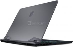 MSI GE66 Raider 10SF-285US Gaming Laptop