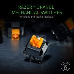 Razer Blackwidow Lite Mechanical Tenkeyless Mechanical Keyboard (RZ03-02640100-R3M1)