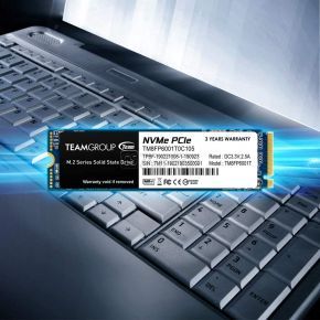 M2 SSD Team Group MP33 256 GB NVMe PCIe (TM8FP6256G0C101)
