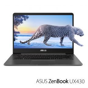 ASUS ZenBook UX430UN-IH74-GR (90NB0GH1-M01130)