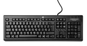 HP Classic Wired Keyboard (WZ972AA)